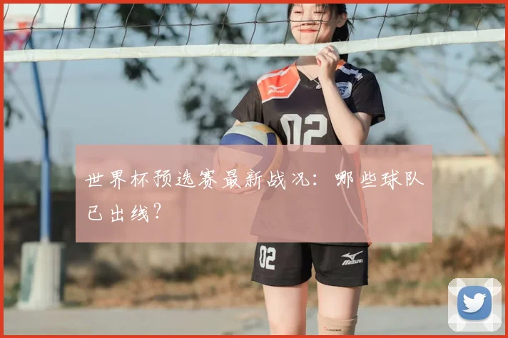 世界杯预选赛最新战况：哪些球队已出线？