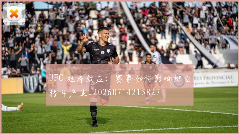 UFC 经济效应：赛事如何影响综合格斗产业_20260714215827